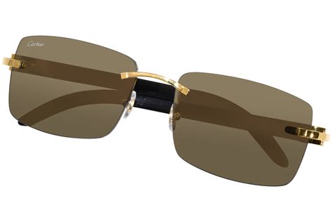 Cartier CT0046S Rectangle Sunglasses 